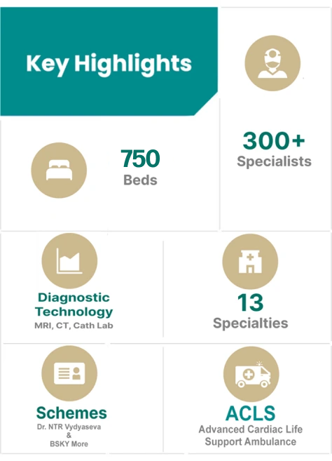 Key Highlights